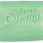 Arab spring soap 2