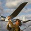 skylark_1le1