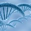 Gene
