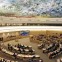 Human Rights Council