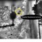 Targeting terrorists 2