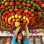 Sukkot