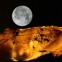 Masada moon